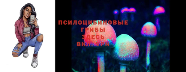 PSILOCYBIN Арсеньев